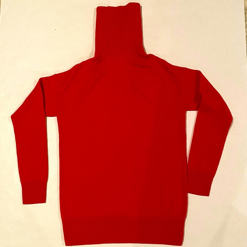Everlane 100% Cashmere Turtleneck Sweater in Persimmon XS